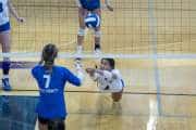Volleyball Polk at Brevard (BR3_4373)