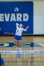 Volleyball Polk at Brevard (BR3_4381)