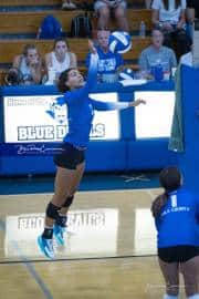 Volleyball Polk at Brevard (BR3_4435)
