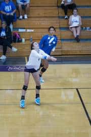Volleyball Polk at Brevard (BR3_4440)