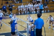 Volleyball Polk at Brevard (BR3_4450)