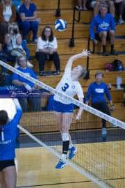 Volleyball Polk at Brevard (BR3_4464)