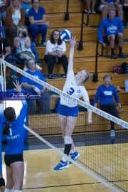 Volleyball Polk at Brevard (BR3_4465)