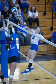 Volleyball Polk at Brevard (BR3_4468)