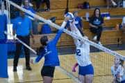 Volleyball Polk at Brevard (BR3_4487)