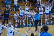 Volleyball Polk at Brevard (BR3_4488)