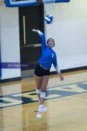 Volleyball Polk at Brevard (BR3_4518)