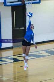 Volleyball Polk at Brevard (BR3_4519)
