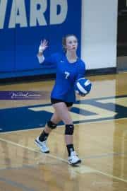 Volleyball Polk at Brevard (BR3_4562)