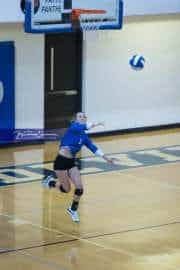 Volleyball Polk at Brevard (BR3_4566)