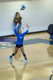 Volleyball Polk at Brevard (BR3_4576)