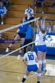Volleyball Polk at Brevard (BR3_4604)