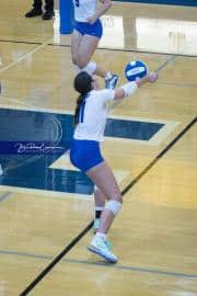 Volleyball Polk at Brevard (BR3_4632)