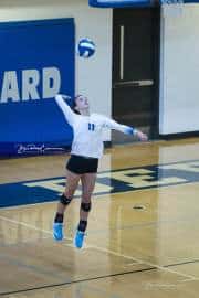 Volleyball Polk at Brevard (BR3_4697)