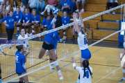 Volleyball Polk at Brevard (BR3_4711)