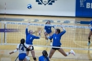Volleyball Polk at Brevard (BR3_4746)