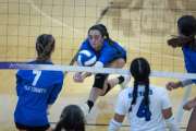 Volleyball Polk at Brevard (BR3_4749)