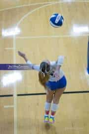 Volleyball Polk at Brevard (BR3_4760)