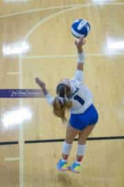 Volleyball Polk at Brevard (BR3_4762)