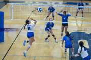 Volleyball Polk at Brevard (BR3_4804)