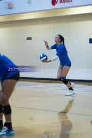 Volleyball Polk at Brevard (BR3_4939)