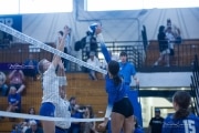 Volleyball Polk at Brevard (BR3_4970)