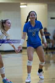 Volleyball Polk at Brevard (BR3_4978)