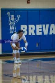 Volleyball Polk at Brevard (BR3_4991)