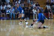 Volleyball Polk at Brevard (BR3_5028)
