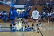 Volleyball Polk at Brevard (BR3_5038)