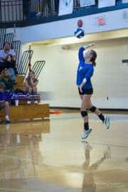 Volleyball Polk at Brevard (BR3_5058)