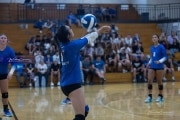 Volleyball Polk at Brevard (BR3_5154)