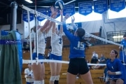 Volleyball Polk at Brevard (BR3_5188)