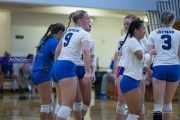 Volleyball Polk at Brevard (BR3_5222)
