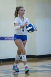 Volleyball Polk at Brevard (BR3_5250)
