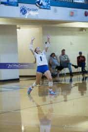 Volleyball Polk at Brevard (BR3_5260)