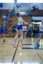 Volleyball Polk at Brevard (BR3_5336)
