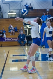 Volleyball Polk at Brevard (BR3_5346)