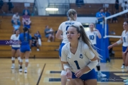 Volleyball Polk at Brevard (BR3_5395)
