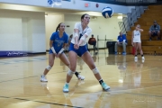 Volleyball Polk at Brevard (BR3_5413)