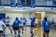 Volleyball Polk at Brevard (BR3_5455)
