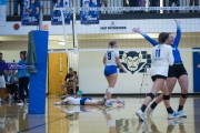 Volleyball Polk at Brevard (BR3_5579)