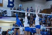 Volleyball Polk at Brevard (BR3_5703)