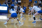 Volleyball Polk at Brevard (BR3_5742)