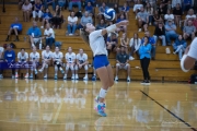 Volleyball Polk at Brevard (BR3_5785)