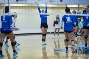 Volleyball Polk at Brevard (BR3_5819)