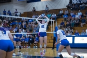 Volleyball Polk at Brevard (BR3_5824)