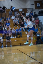 Volleyball Polk at Brevard (BR3_5846)