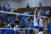 Volleyball Polk at Brevard (BR3_5871)