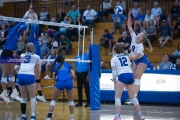 Volleyball Polk at Brevard (BR3_5889)